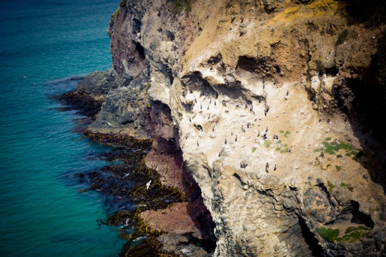 notworkrelated_new_zealand_otago_01
