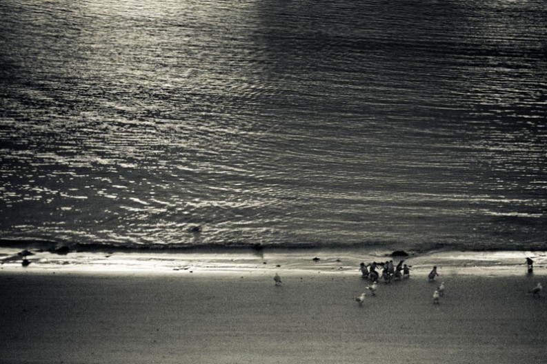 notworkrelated_new_zealand_otago_peninsula_19