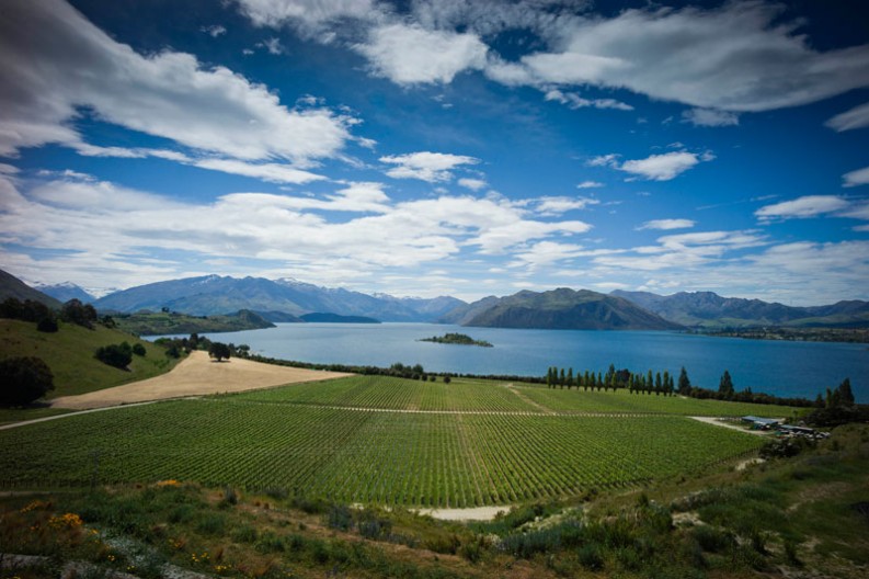 notworkrelated_new_zealand_wanaka_24