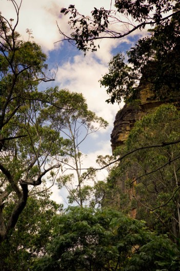 notworkrelated_australia_blue_gum_forest_04