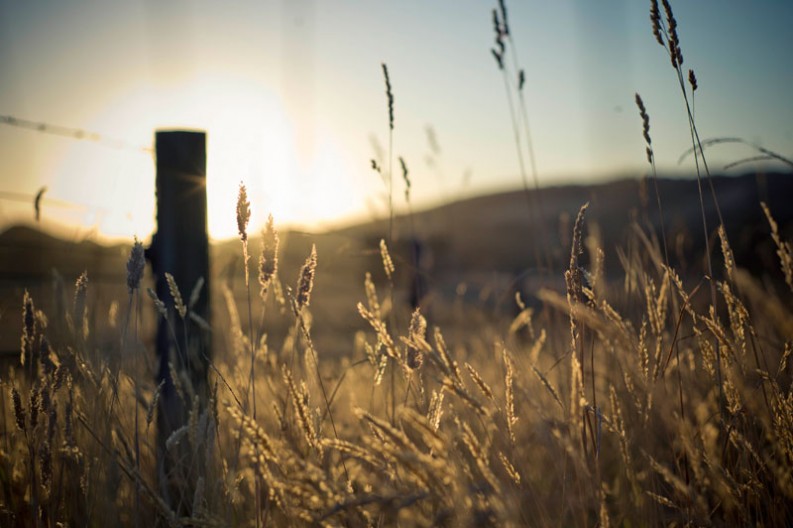 notworkrelated_australia_great_ocean_drive_10