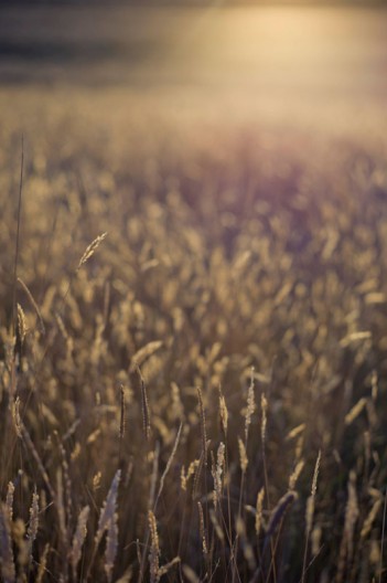 notworkrelated_australia_great_ocean_drive_11