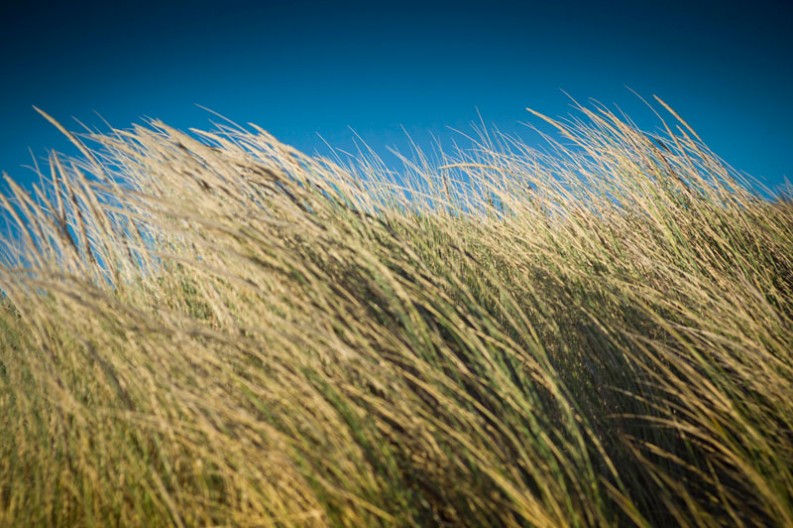 notworkrelated_australia_margret_river_17