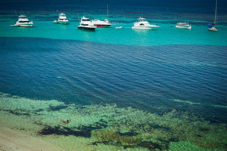 notworkrelated_australia_rottnest_island_08