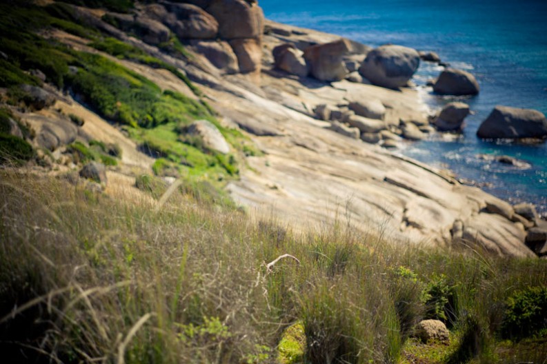 notworkrelated_australia_wilsons_promontory_05