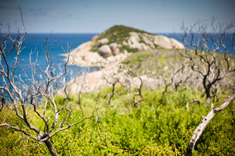 notworkrelated_australia_wilsons_promontory_19