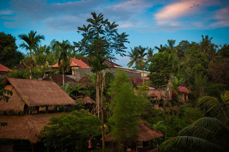 notworkrelated_bali_ubud_13