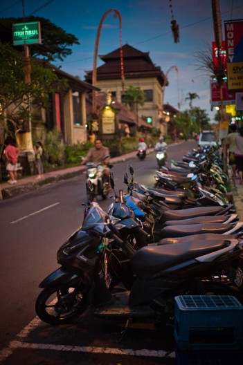 notworkrelated_bali_ubud_14