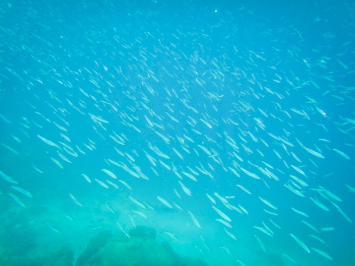 notworkrelated_bali_giliair_55