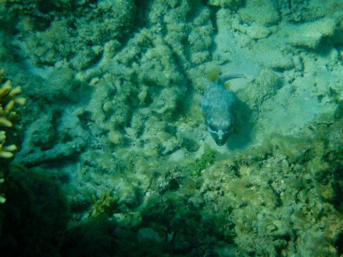 notworkrelated_bali_giliair_57