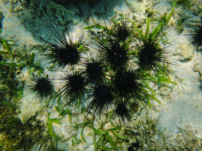 notworkrelated_bali_giliair_59