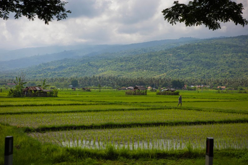 notworkrelated_bali_munduk_padangbai_02