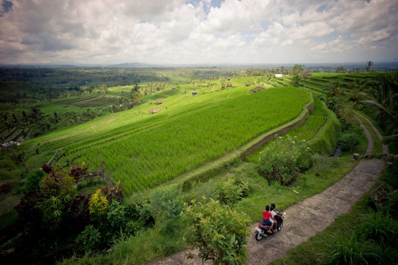 notworkrelated_bali_ubud_munduk_17