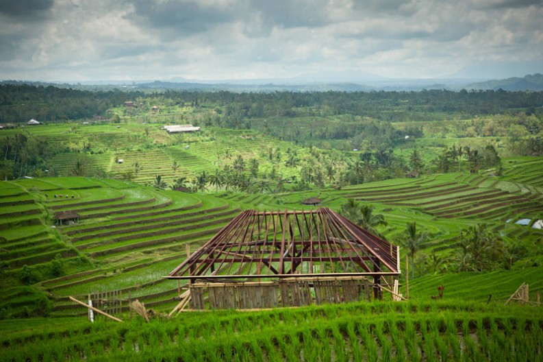 notworkrelated_bali_ubud_munduk_18