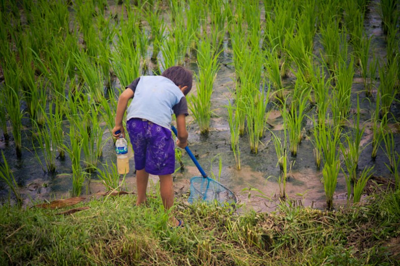 notworkrelated_bali_ubud_munduk_20