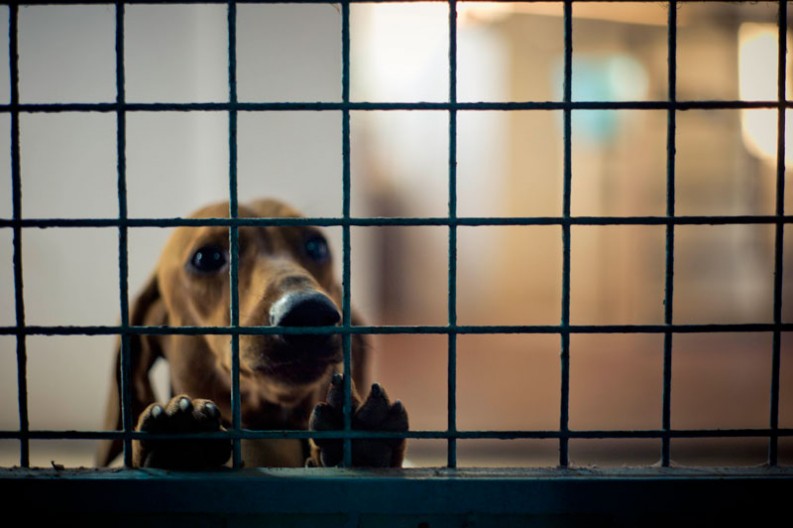 notworkrelated_india_kochi_26