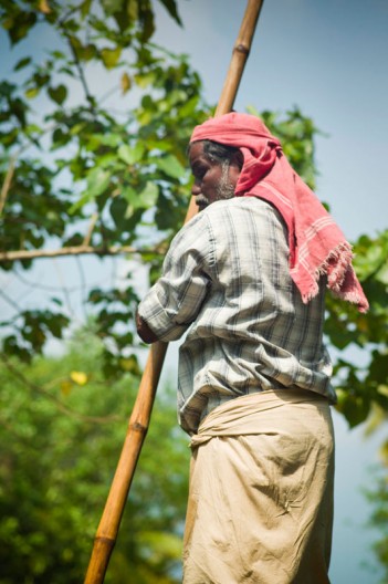notworkrelated_india_kochi_backwaters_38