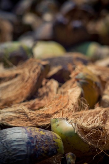 notworkrelated_india_kochi_backwaters_39