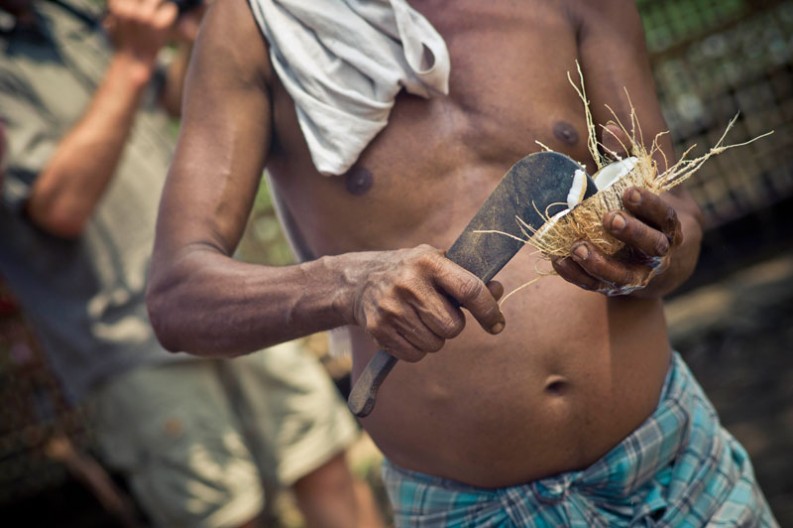 notworkrelated_india_kochi_backwaters_40