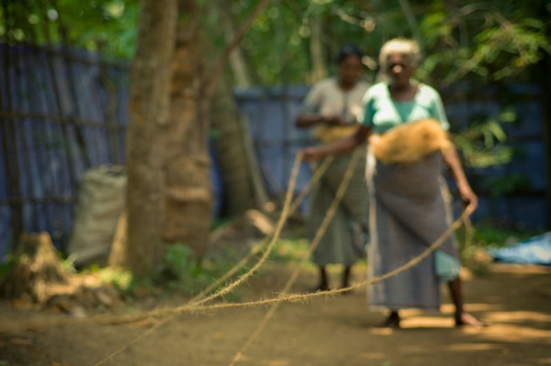 notworkrelated_india_kochi_backwaters_44