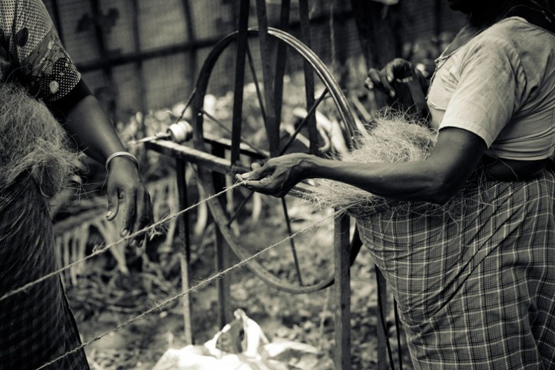 notworkrelated_india_kochi_backwaters_45