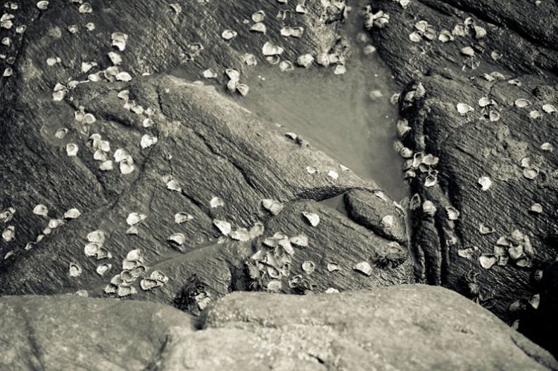 notworkrelated_india_kunnar_31