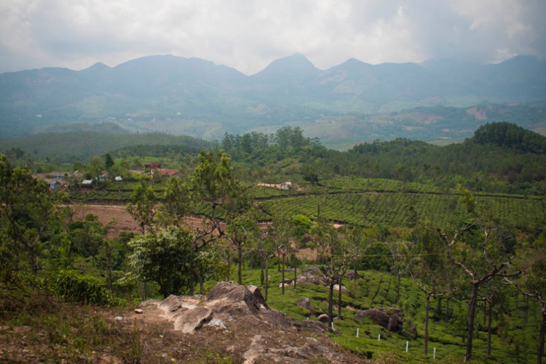 notworkrelated_india_munnar_03