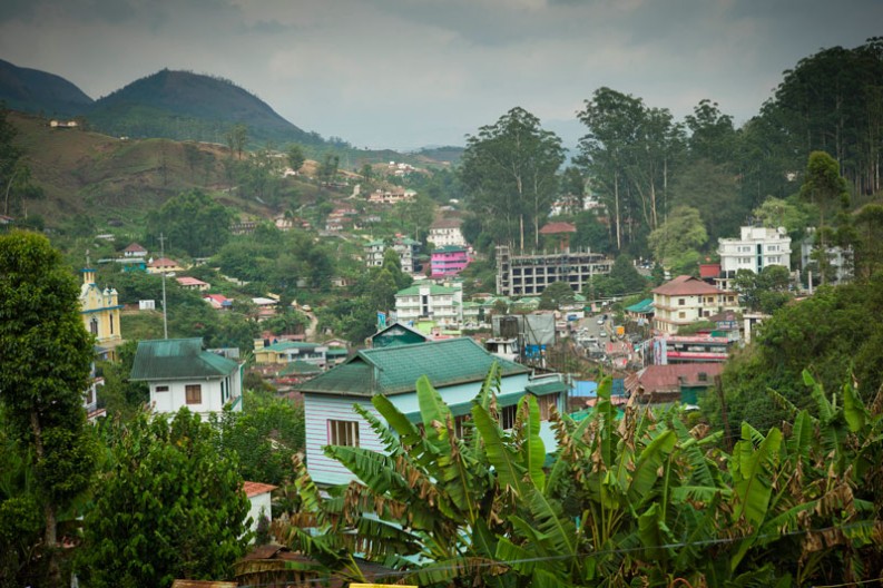 notworkrelated_india_munnar_08