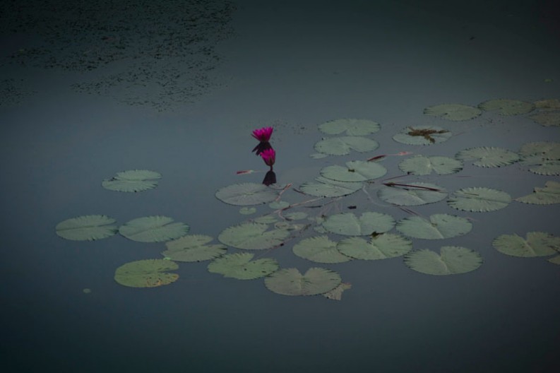 notworkrelated_india_thattakad_17