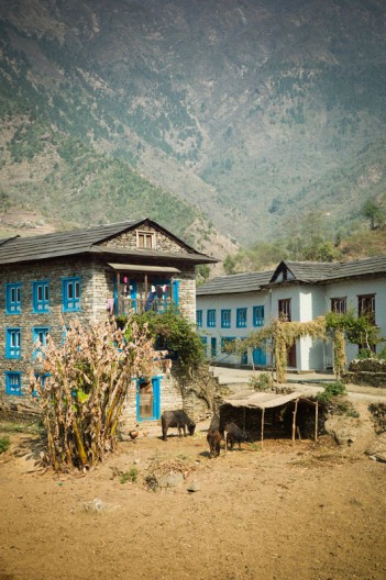 notworkrelated_nepal_nuntala_bupsa_06