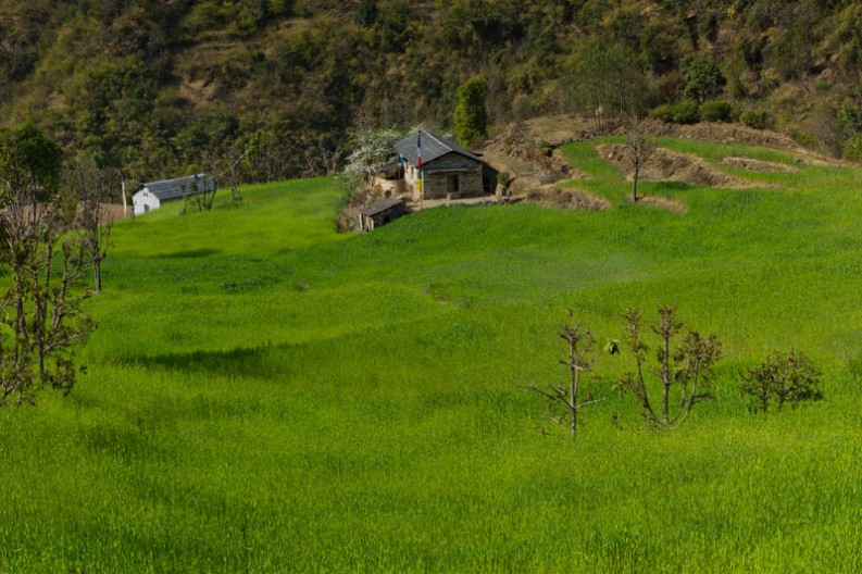 notworkrelated_nepal_nuntala_bupsa_09