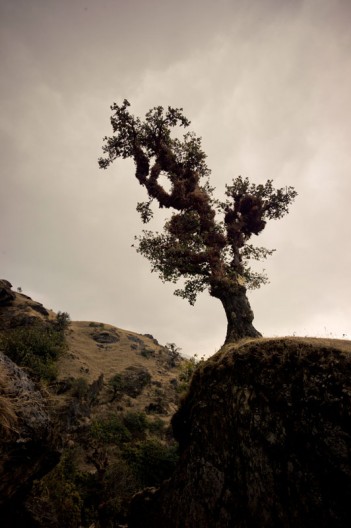 notworkrelated_nepal_sete_junbessi_16